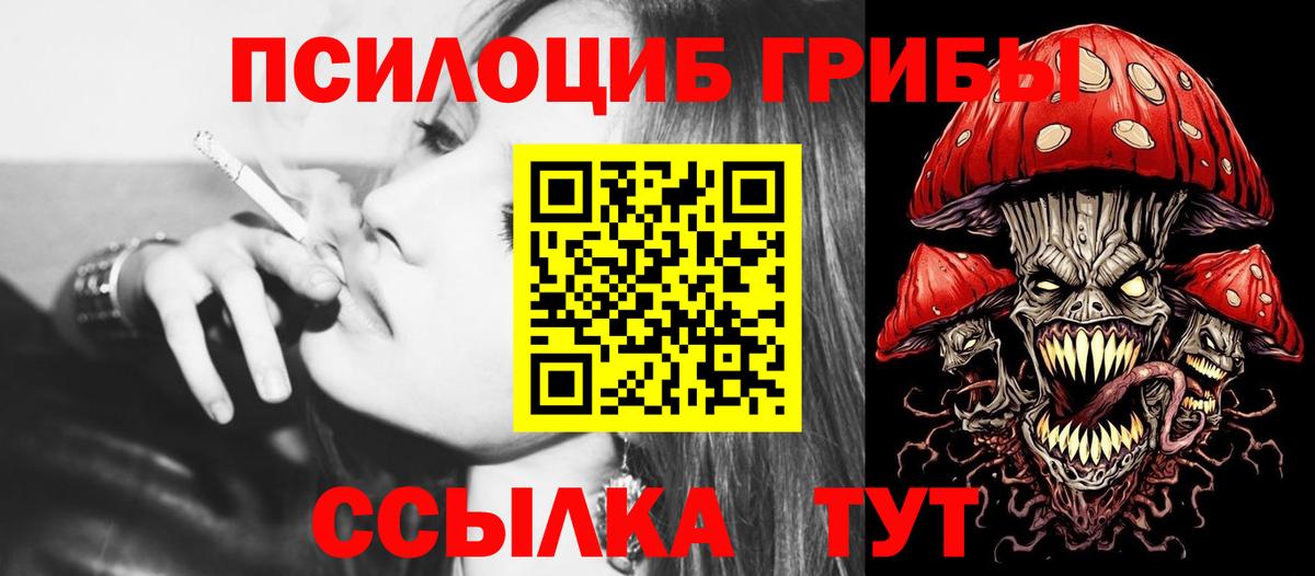 Партизанск  Псилоцибиновые грибы прущие грибы  Вход с VPN 
